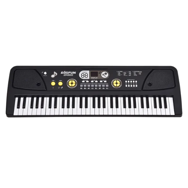 61 Keys BigFun Electronic Keyboard Piano With Mic