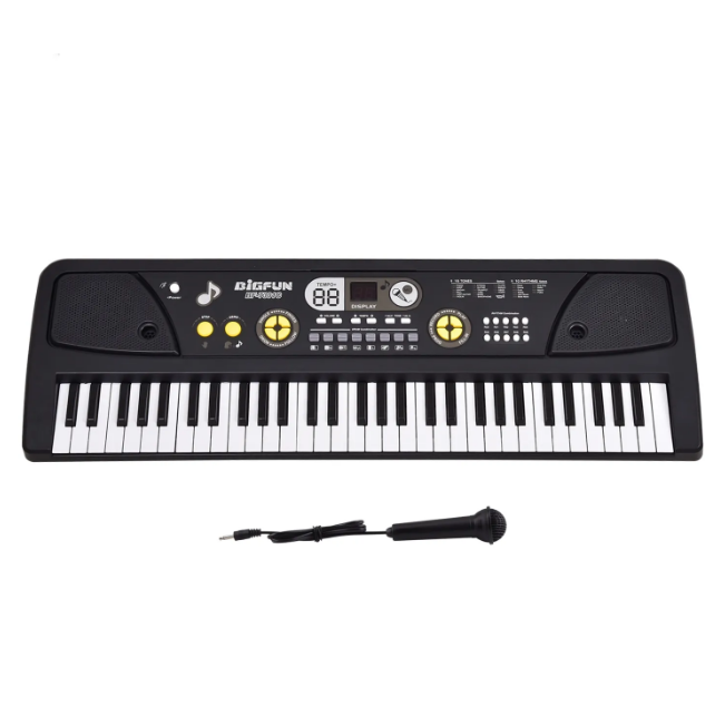 61 Keys BigFun Electronic Keyboard Piano With Mic