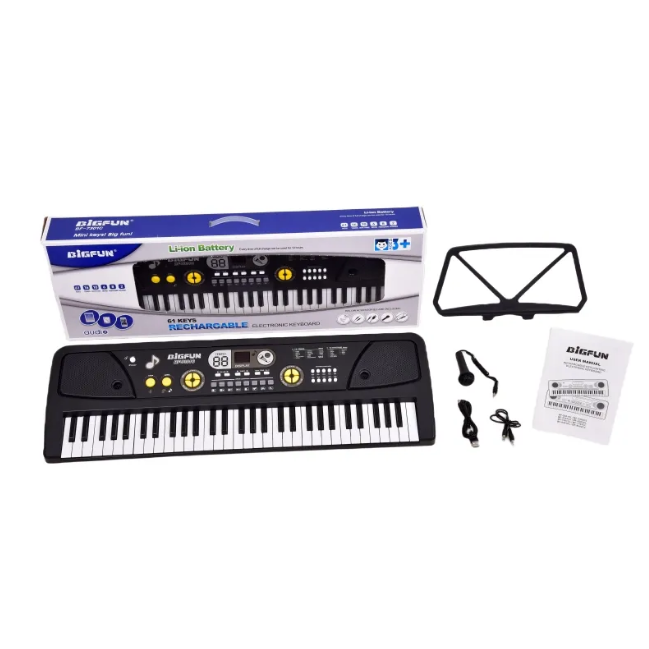 61 Keys BigFun Electronic Keyboard Piano With Mic