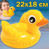Thumbnail for INTEX Kids Puff N' Play Swimming Toy ( 22x18cm )
