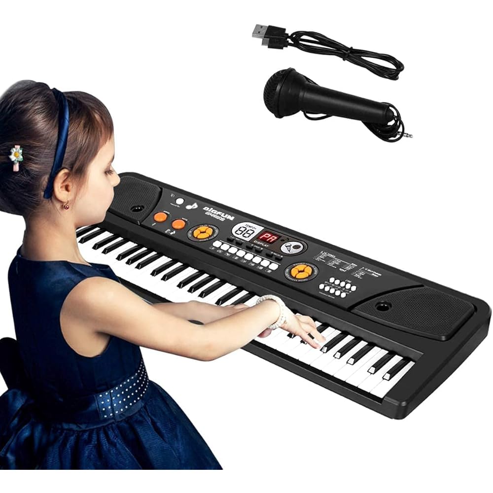 61 Keys BigFun Electronic Keyboard Piano With Mic