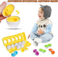 Thumbnail for 12Pcs Match Smart Eggs-Toy