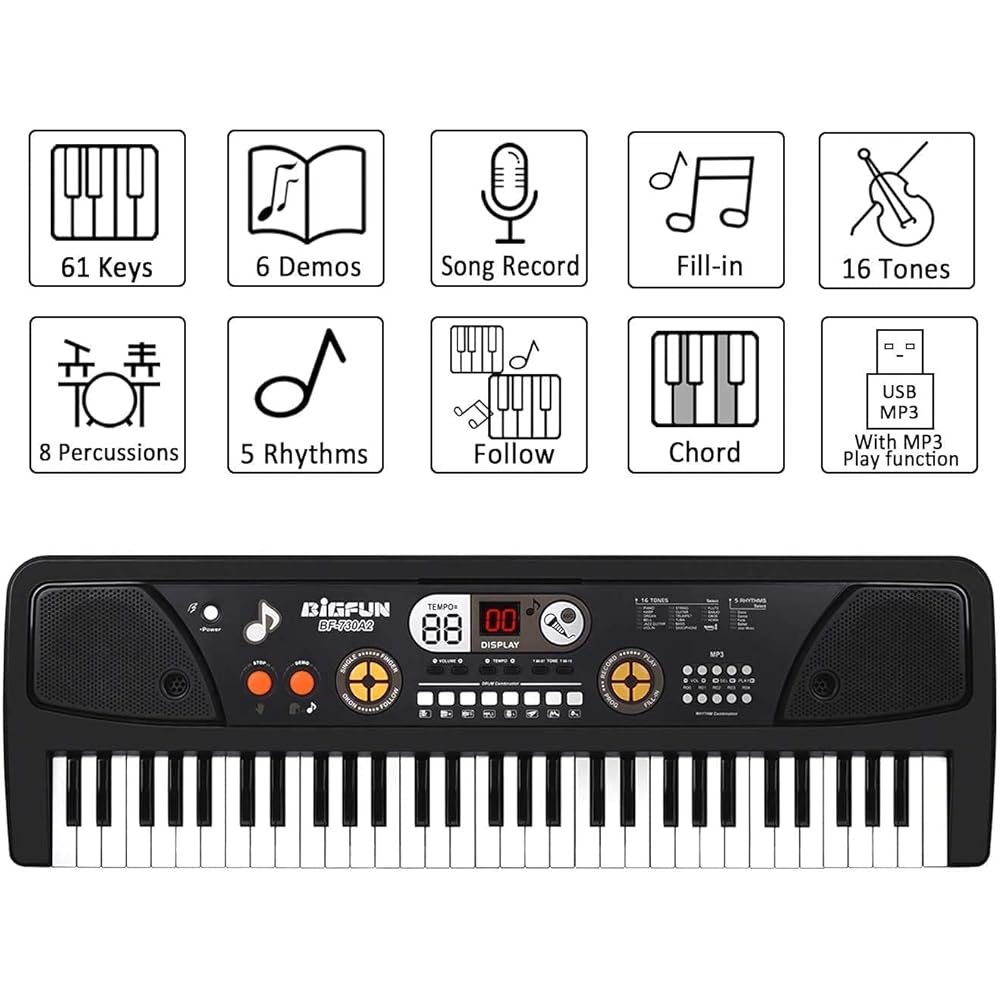 61 Keys BigFun Electronic Keyboard Piano With Mic