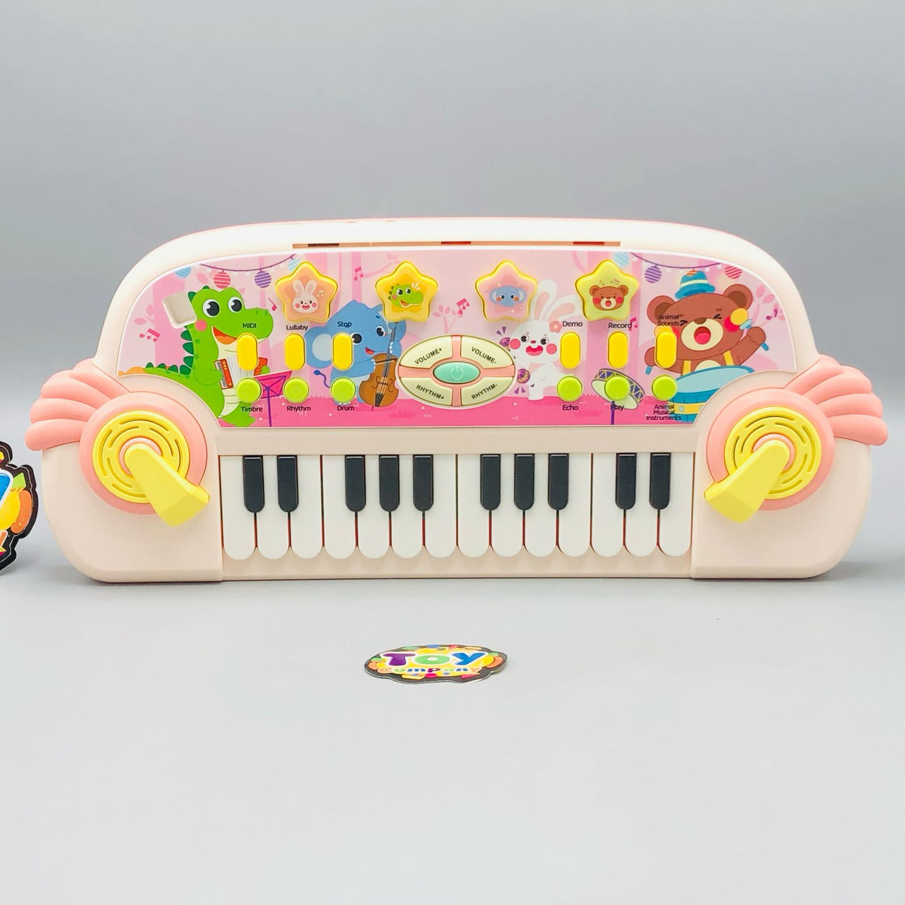 Electronic Animal Musical Piano With Microphone