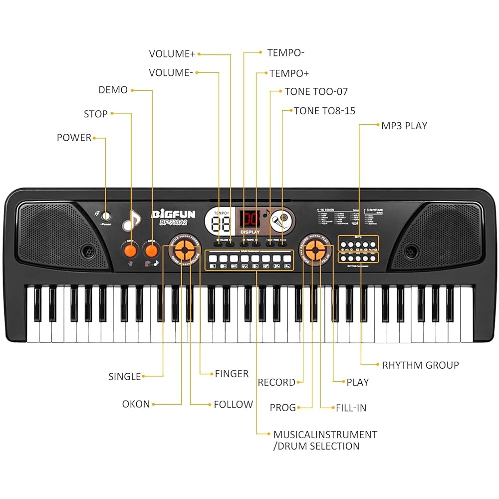 61 Keys BigFun Electronic Keyboard Piano With Mic