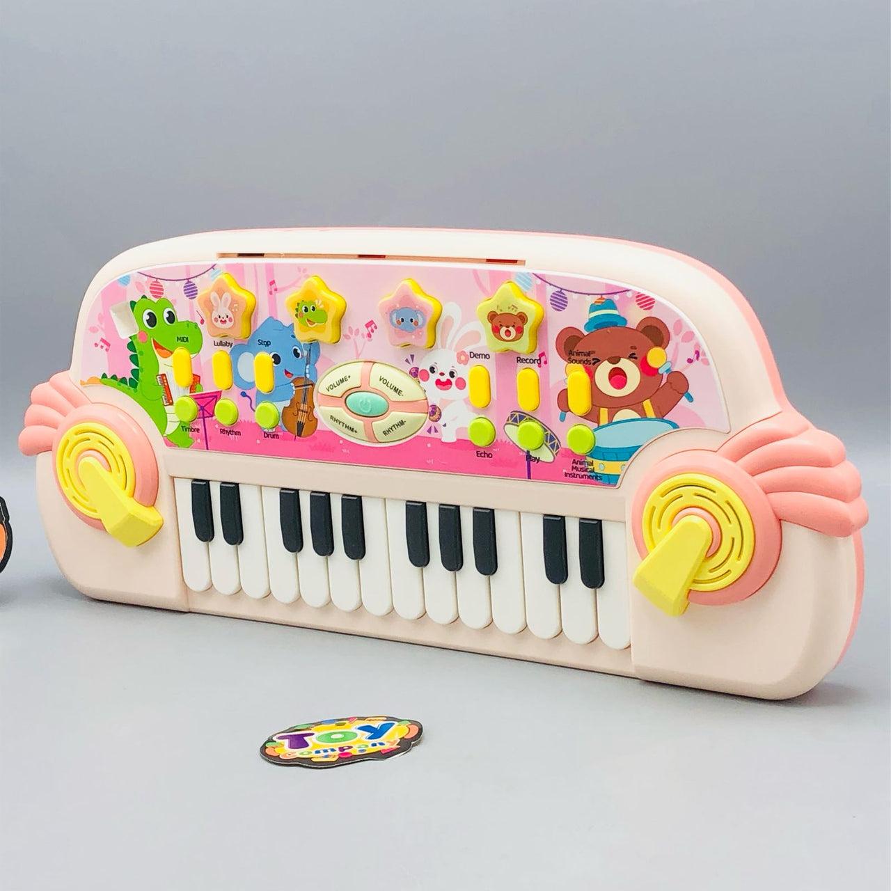 Electronic Animal Musical Piano With Microphone