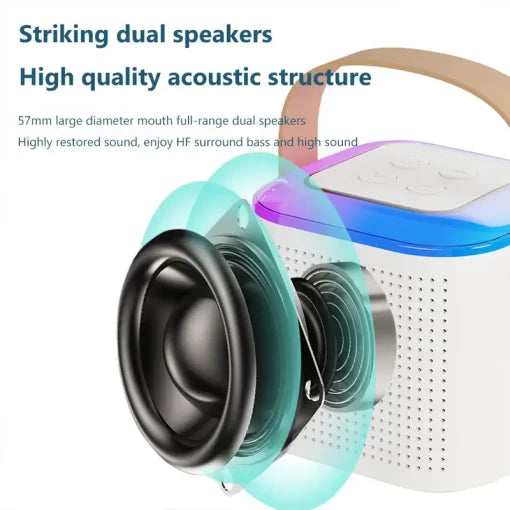 Y1 Wireless Karaoke Speaker With Microphone